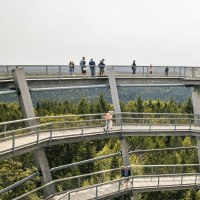 Der Aussichtsturm in Bad Wildbad bietet spiralförmige Wege über einem dichten Wald, auf denen Besucher spazieren gehen und die Aussicht genießen., © SMG, Sarah Schmid Der Aussichtsturm in Bad Wildbad bietet spiralförmige Wege über einem dichten Wald, auf denen Besucher spazieren gehen und die Aussicht genießen., © SMG, Sarah Schmid