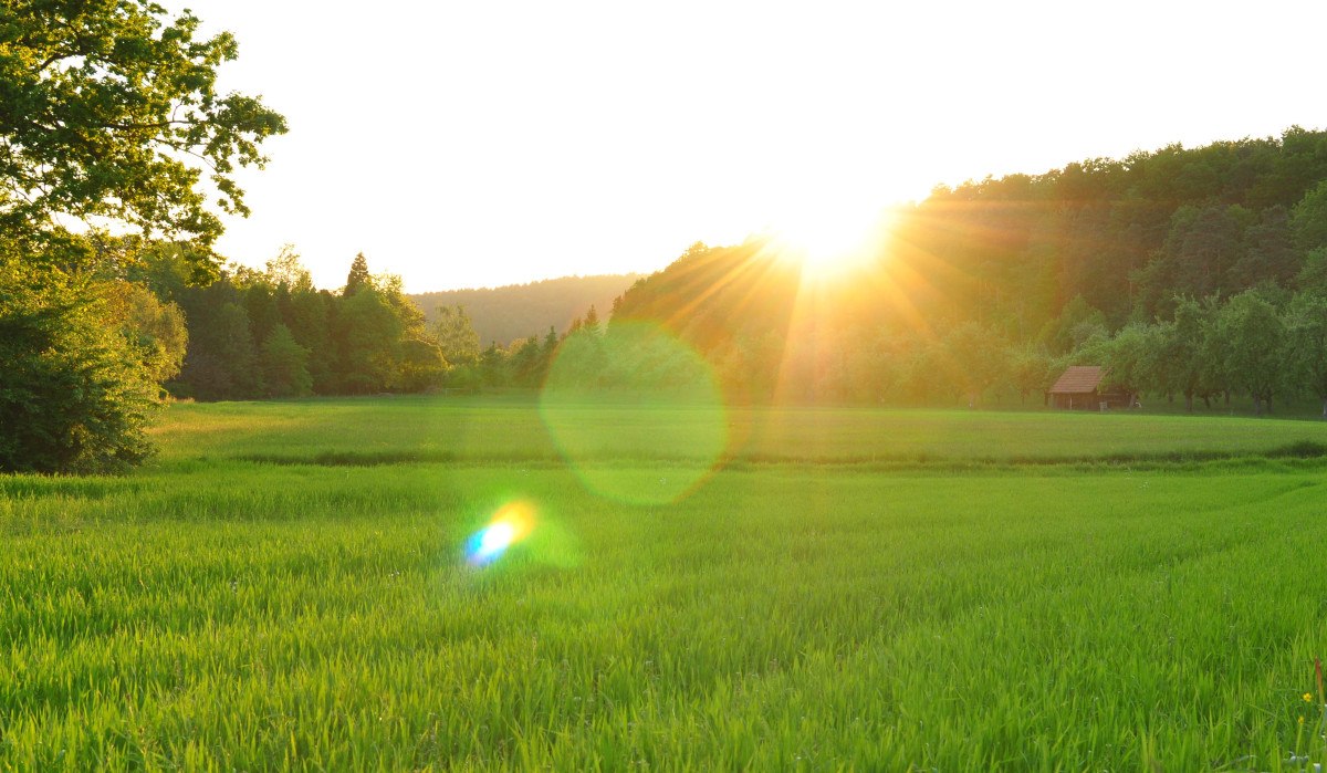 Sonnenuntergang über einer grünen Wiese, umgeben von Bäumen. Eine kleine Hütte steht am Horizont. Die Sonne strahlt hell am Himmel., © Stadt Schorndorf Sonnenuntergang über einer grünen Wiese, umgeben von Bäumen. Eine kleine Hütte steht am Horizont. Die Sonne strahlt hell am Himmel., © Stadt Schorndorf