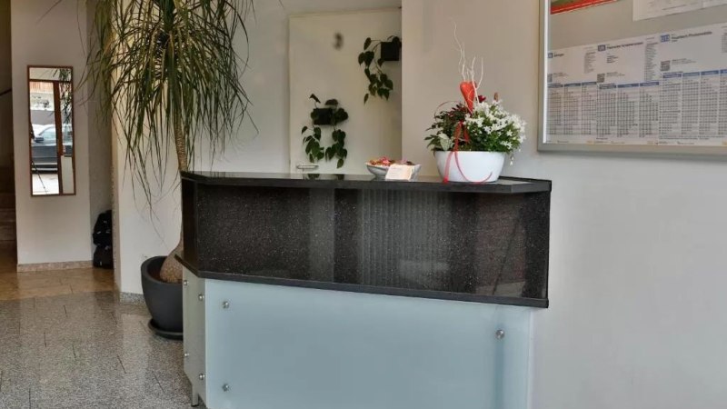 Ein moderner Rezeptionstresen mit einer Pflanze und Dekoration. An der Wand h&auml;ngt ein Informationsbrett. Der Boden ist gefliest., &copy; Feuerbacher Hof