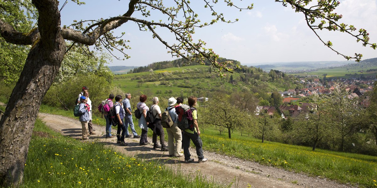 Eine Gruppe von Wanderern auf einem Weg mit Blick auf grüne Hügel und ein Dorf im Tal. Ein blühender Baum im Vordergrund., © Claudia Fy