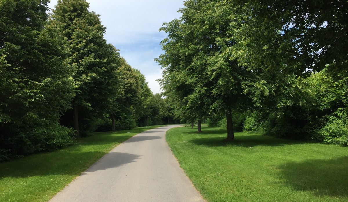 Ein asphaltierter Weg schlängelt sich durch eine grüne Landschaft mit Bäumen und Rasen unter einem blauen Himmel., © www.pro-cycl.de
