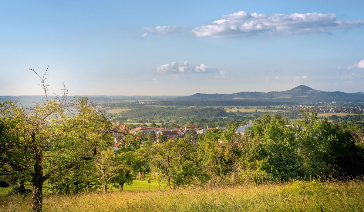 Landschaft mit Obstbäumen, Wiesen und einem Dorf im Hintergrund, umgeben von Hügeln unter blauem Himmel mit Wolken., © Stuttgart Marketing GmbH Martina Denker Landschaft mit Obstbäumen, Wiesen und einem Dorf im Hintergrund, umgeben von Hügeln unter blauem Himmel mit Wolken., © Stuttgart Marketing GmbH Martina Denker