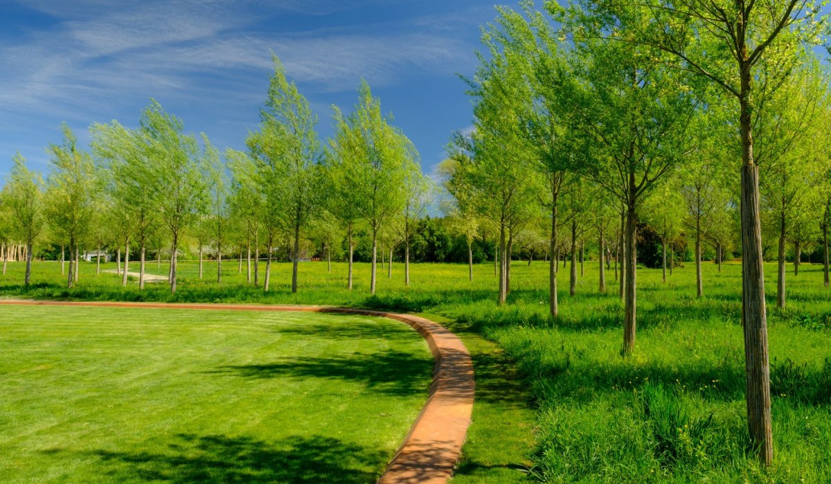 Ein gepflegter Park mit jungen Bäumen, grünem Rasen und einem geschwungenen Weg unter blauem Himmel., © WTM GmbH Waiblingen Ein gepflegter Park mit jungen Bäumen, grünem Rasen und einem geschwungenen Weg unter blauem Himmel., © WTM GmbH Waiblingen
