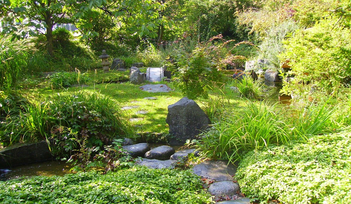 Ein grüner Japangarten mit üppiger Vegetation, Steinen, einem kleinen Teich und einer Steinlaterne im Hintergrund., © 3B-Tourismus-Team Ein grüner Japangarten mit üppiger Vegetation, Steinen, einem kleinen Teich und einer Steinlaterne im Hintergrund., © 3B-Tourismus-Team