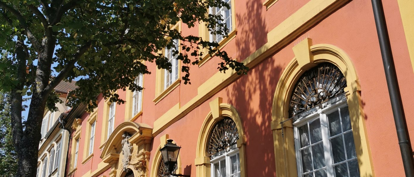 Historisches Gebäude mit roter Fassade und gelben Fensterrahmen, flankiert von Bäumen. Die Sonne wirft Schatten auf den Gehweg., © TELB
