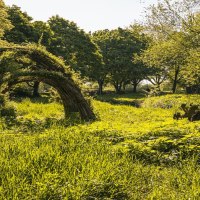 Grüne Landschaft in der Waiblinger Talaue mit einer Weidenkonstruktion und Bäumen im Hintergrund. Sonnenlicht fällt auf das Gras., © SMG, Sarah Schmid