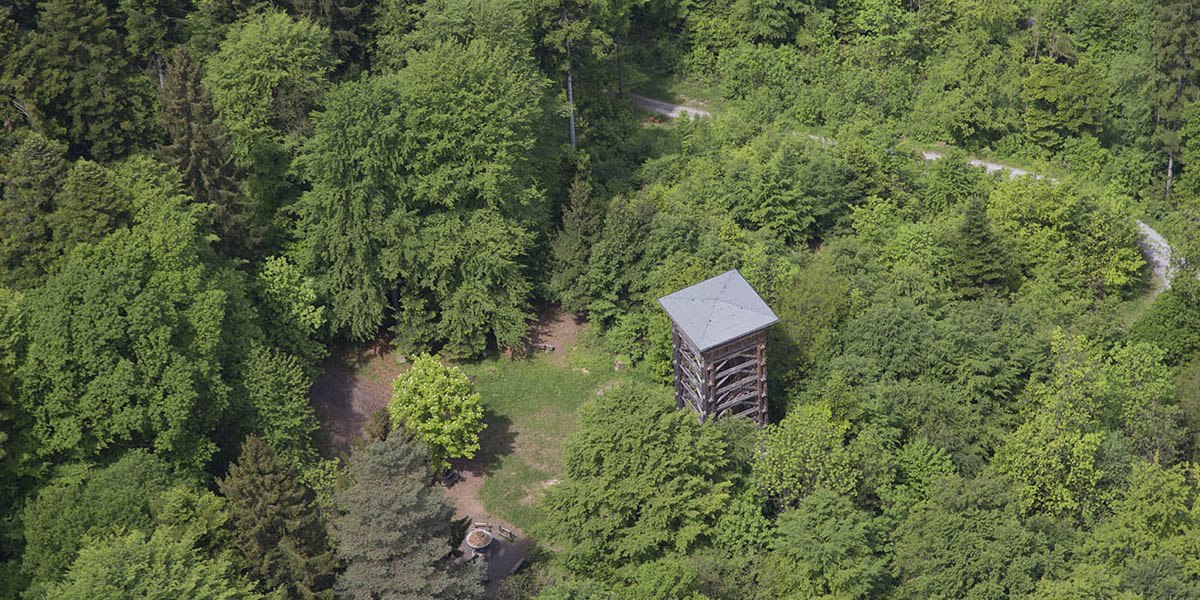 Luftaufnahme eines Aussichtsturms im dichten, grünen Wald. Ein Weg schlängelt sich durch die Bäume.
