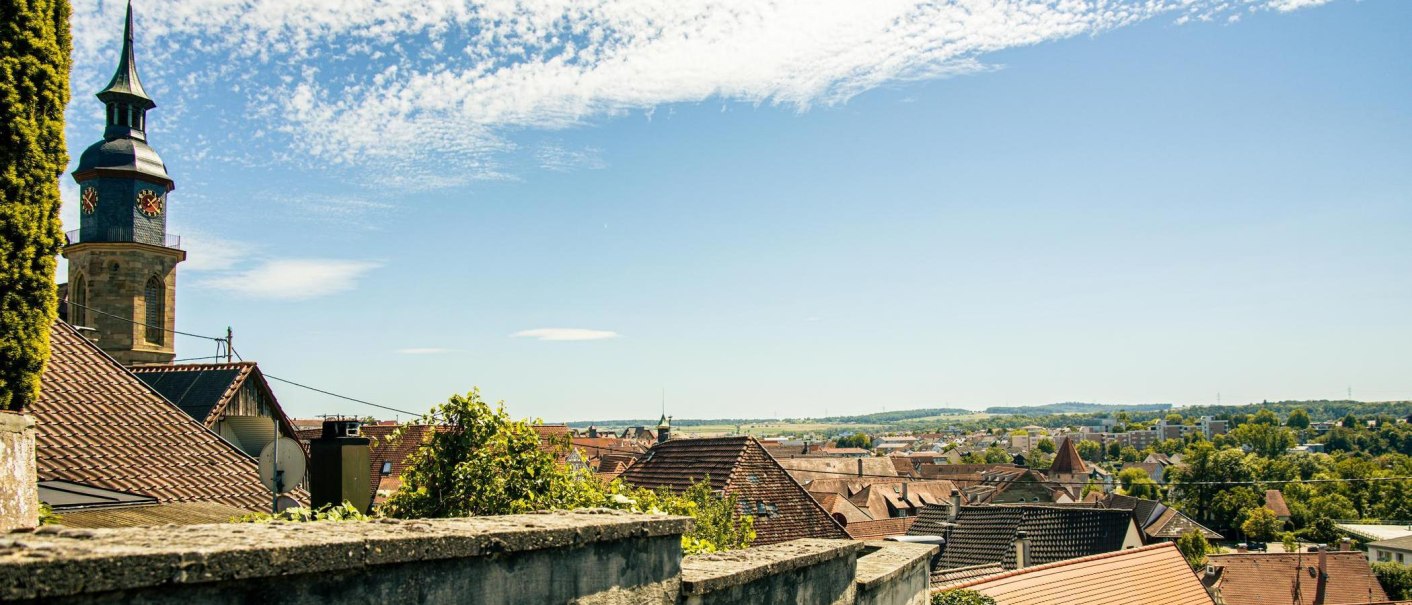 Panoramablick auf die Stadtkirche in Vaihingen an der Enz, umgeben von roten Dächern und grüner Landschaft unter einem klaren blauen Himmel., © SMG, Sarah Schmid Panoramablick auf die Stadtkirche in Vaihingen an der Enz, umgeben von roten Dächern und grüner Landschaft unter einem klaren blauen Himmel., © SMG, Sarah Schmid
