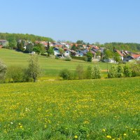 Bl&uuml;hende Wiesen mit gelben Blumen vor einem Dorf mit roten D&auml;chern, umgeben von gr&uuml;nen Feldern und B&auml;umen unter klarem, blauem Himmel., &copy; Natur.Nah. Sch&ouml;nbuch & Heckeng&auml;u