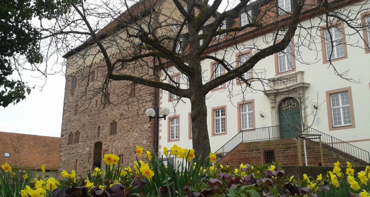 Ein historisches Geb&auml;ude mit einem Baum im Vordergrund, umgeben von gelben Narzissen und anderen Pflanzen., &copy; Natur.Nah. Sch&ouml;nbuch & Heckeng&auml;u