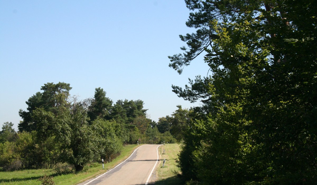 Schmale Landstraße durch grüne, bewaldete Landschaft unter blauem Himmel., © Natur.Nah. Schönbuch & Heckengäu Schmale Landstraße durch grüne, bewaldete Landschaft unter blauem Himmel., © Natur.Nah. Schönbuch & Heckengäu