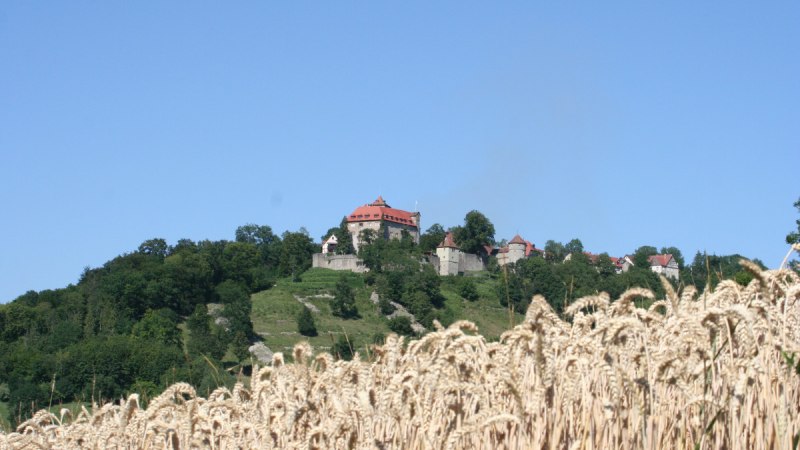 Burg und Schloss Stetten auf einem bewaldeten Hügel, umgeben von Bäumen. Im Vordergrund ein Weizenfeld unter klarem, blauem Himmel., © Touristikgemeinschaft Hohenlohe, Künzelsau / Marion Schlund Burg und Schloss Stetten auf einem bewaldeten Hügel, umgeben von Bäumen. Im Vordergrund ein Weizenfeld unter klarem, blauem Himmel., © Touristikgemeinschaft Hohenlohe, Künzelsau / Marion Schlund