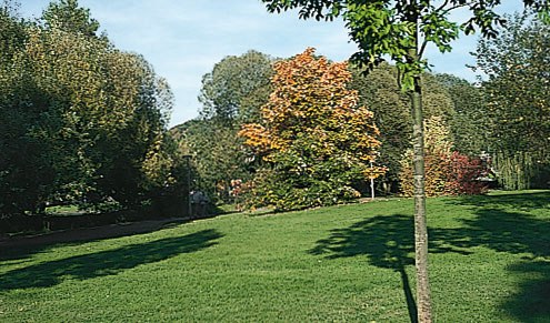 Goldbachanlage Sindelfingen