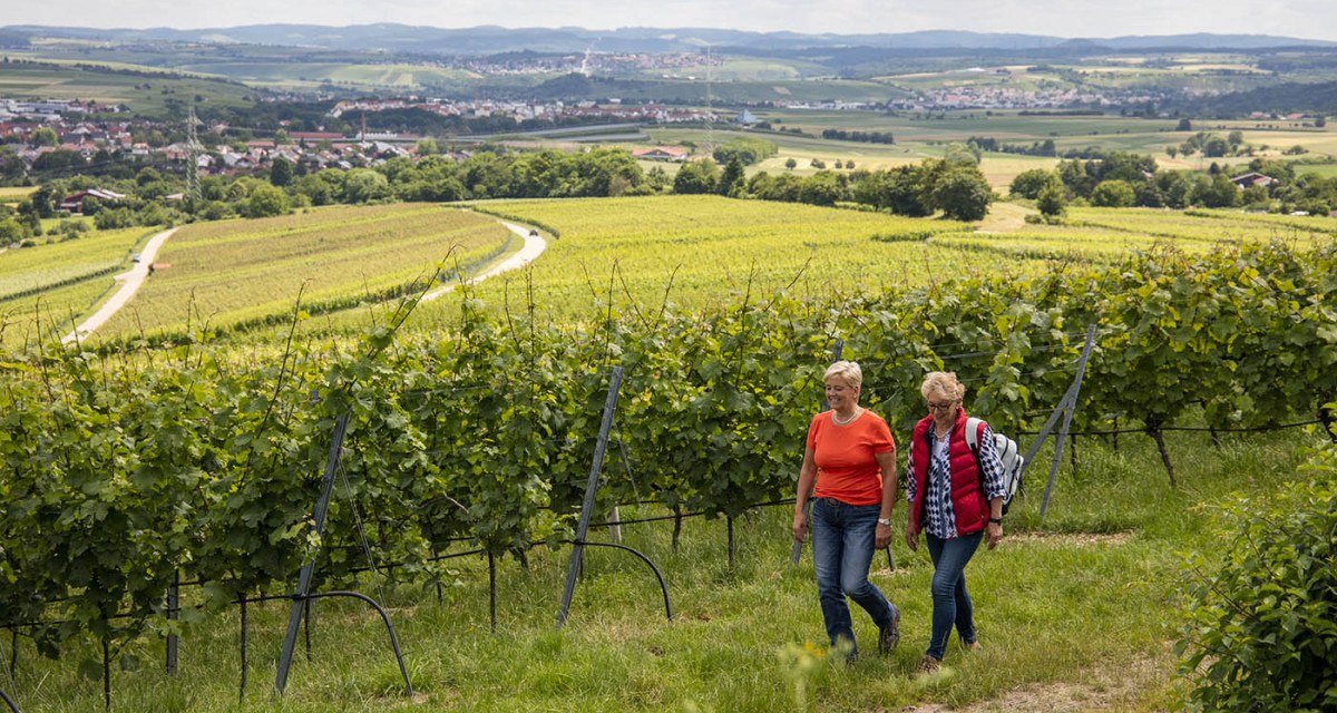 Zwei Frauen wandern durch einen Weinberg. Im Hintergrund erstreckt sich eine weite, hügelige Landschaft mit Feldern und einem Dorf., © Land der 1000 Hügel - Kraichgau-Stromberg
