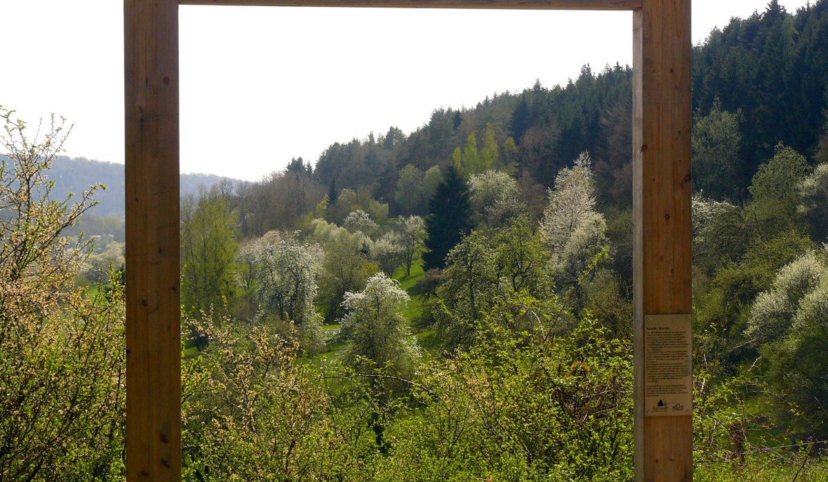 Kunst am Venusberg, &copy; Natur.Nah. Sch&ouml;nbuch & Heckeng&auml;u