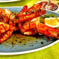 Gegrillte Garnelen auf blauem Teller mit Kräutern und Zitronenscheibe, auf grünem Tisch serviert., © Restaurant Neckarau, P. Kotaidis Gegrillte Garnelen auf blauem Teller mit Kräutern und Zitronenscheibe, auf grünem Tisch serviert., © Restaurant Neckarau, P. Kotaidis