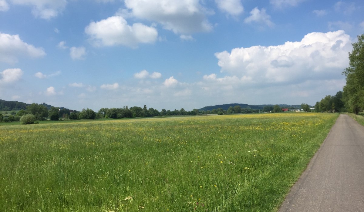 Ein Radweg führt durch eine grüne Wiesenlandschaft unter einem blauen Himmel mit weißen Wolken., © www.pro-cycl.de Ein Radweg führt durch eine grüne Wiesenlandschaft unter einem blauen Himmel mit weißen Wolken., © www.pro-cycl.de