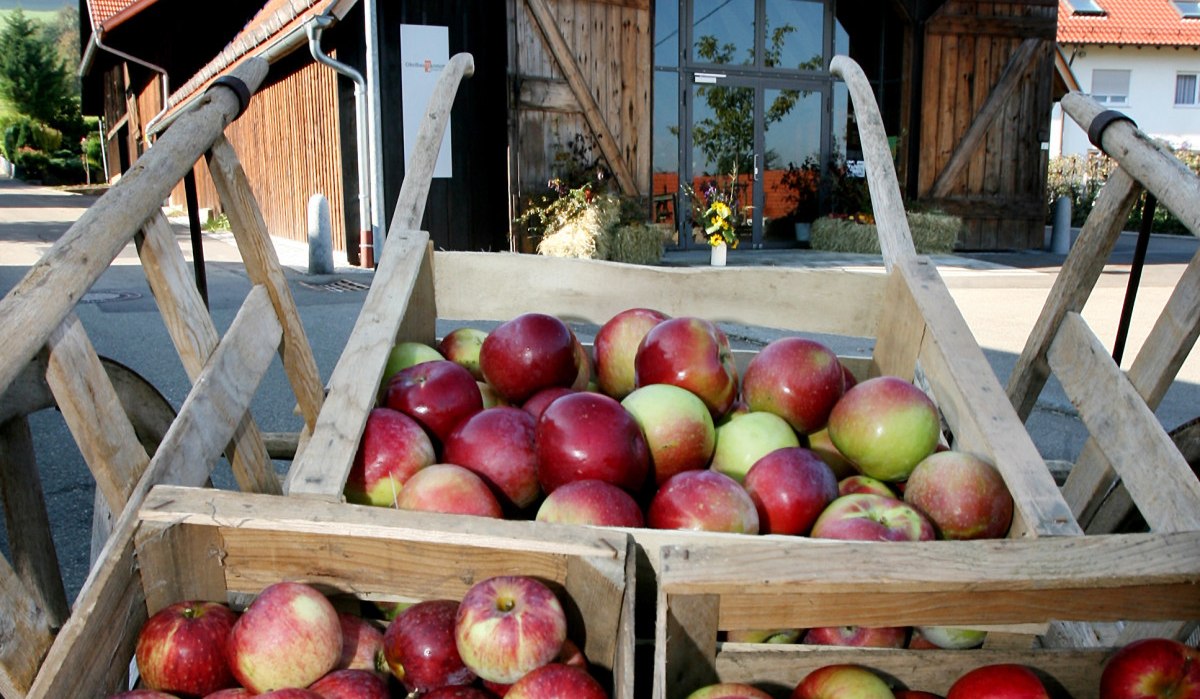 Einmalig im s&uuml;ddeutschen Raum ist das Obstbaumuseum in der Glemser Kelter., &copy; Stadt Metzingen