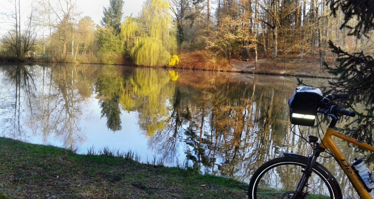 Ein Fahrrad am Ufer des Warmbronner Sees, umgeben von herbstlichen Bäumen, die sich im Wasser spiegeln., © Natur.Nah. Schönbuch & Heckengäu Ein Fahrrad am Ufer des Warmbronner Sees, umgeben von herbstlichen Bäumen, die sich im Wasser spiegeln., © Natur.Nah. Schönbuch & Heckengäu