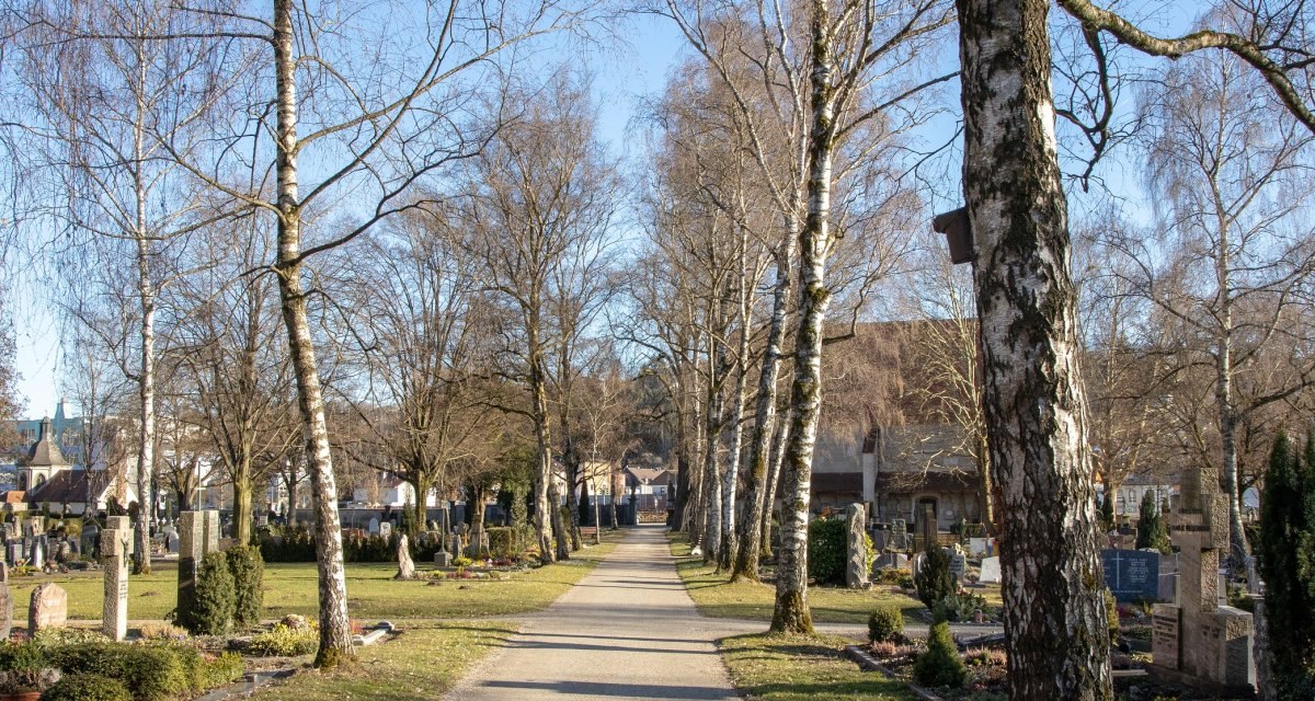 Ein Friedhof mit kahlen Bäumen entlang eines Weges, umgeben von Grabsteinen, unter einem klaren blauen Himmel., © Mario Klaiber Ein Friedhof mit kahlen Bäumen entlang eines Weges, umgeben von Grabsteinen, unter einem klaren blauen Himmel., © Mario Klaiber
