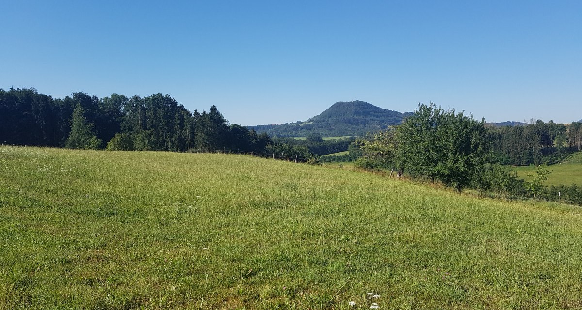 Gr&uuml;ne Wiese mit Blick auf den bewaldeten Hohenrechberg. Der Himmel ist klar und blau, umgeben von B&auml;umen und sanften H&uuml;geln.