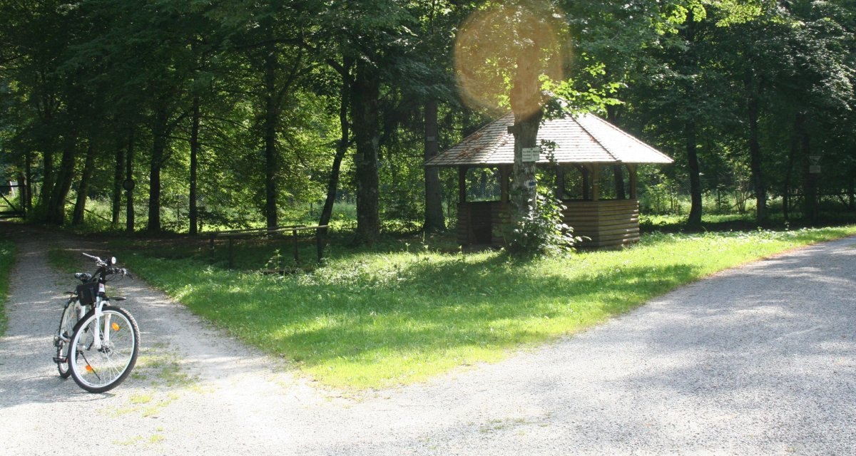 Ein Fahrrad steht auf einem Waldweg. Im Hintergrund ist ein Pavillon zu sehen, umgeben von Bäumen und Sonnenlicht., © Natur.Nah. Schönbuch & Heckengäu Ein Fahrrad steht auf einem Waldweg. Im Hintergrund ist ein Pavillon zu sehen, umgeben von Bäumen und Sonnenlicht., © Natur.Nah. Schönbuch & Heckengäu