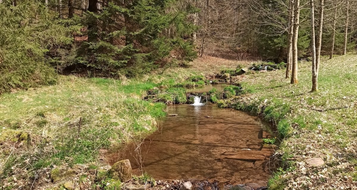 Am Heselbach entlang geht es auf die H&ouml;he, &copy; N&ouml;rdlicher Schwarzwald