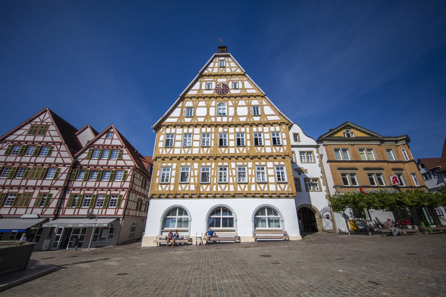 Leonberg_Mende_0C0A5528, © Achim Mende