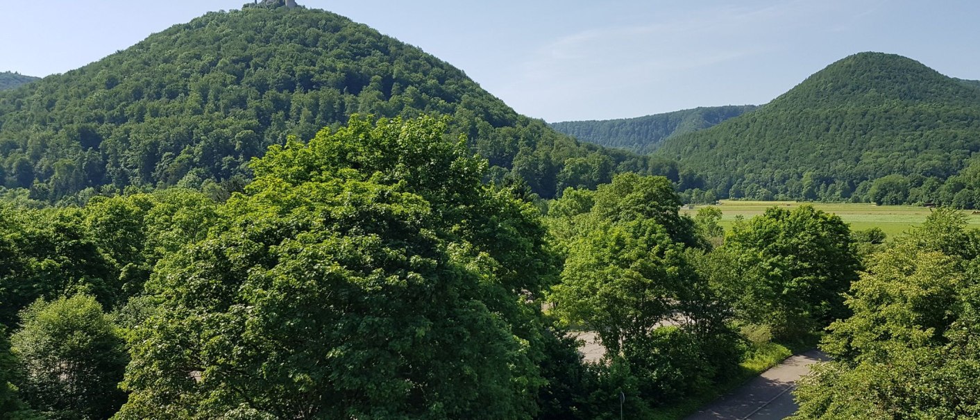 Ausblick Hotel, &copy; &copy;hotel-graf-eberhard.de
