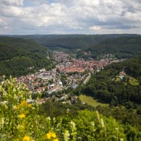 Panoramablick auf Bad Urach, eingebettet in grüne Hügel und Wälder, mit blühenden Pflanzen im Vordergrund., © Bad Urach Tourismus