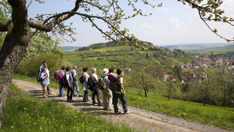 Eine Gruppe von Wanderern auf einem Weg mit Blick auf grüne Hügel und ein Dorf im Tal. Ein blühender Baum im Vordergrund., © Claudia Fy