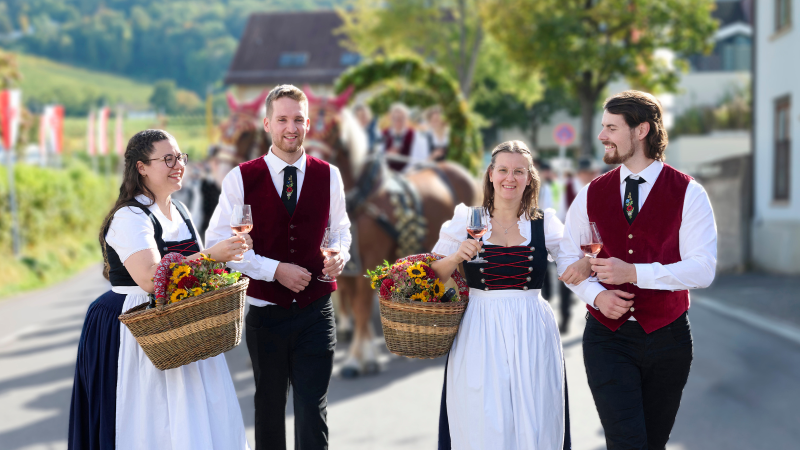 Fellbacher Herbst, © P.D.Hartung