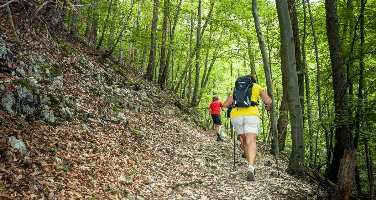 Zwei Wanderer mit Rucksäcken und Stöcken gehen einen steinigen Pfad im grünen Wald hinauf., © hochgehberge Zwei Wanderer mit Rucksäcken und Stöcken gehen einen steinigen Pfad im grünen Wald hinauf., © hochgehberge