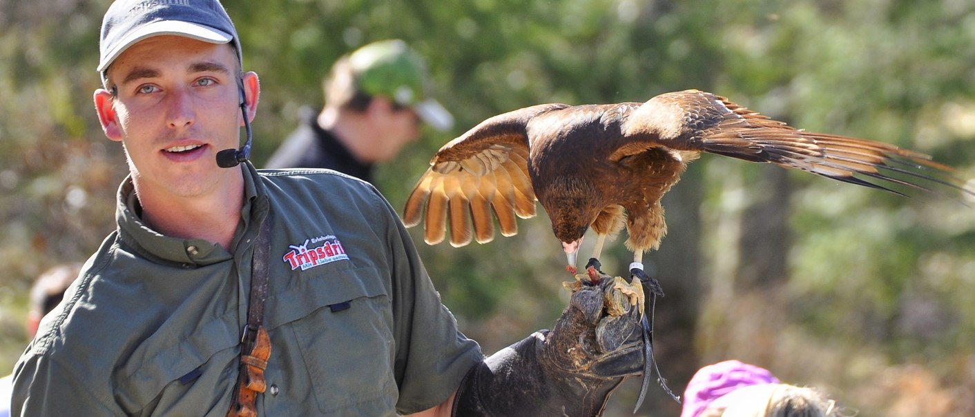 Ein Falkner hält einen Greifvogel auf seinem behandschuhten Arm. Er trägt ein Mikrofon und steht vor einer Gruppe von Zuschauern im Freien., © Wildparadies Tripsdrill