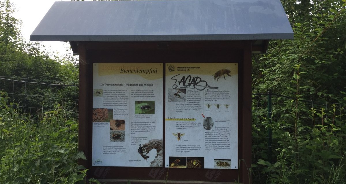 Eine Informationstafel am Bienenlehrpfad erklärt die Verwandtschaft von Wildbienen und Wespen. Die Tafel ist von Pflanzen umgeben., © www.pro-cycl.de Eine Informationstafel am Bienenlehrpfad erklärt die Verwandtschaft von Wildbienen und Wespen. Die Tafel ist von Pflanzen umgeben., © www.pro-cycl.de