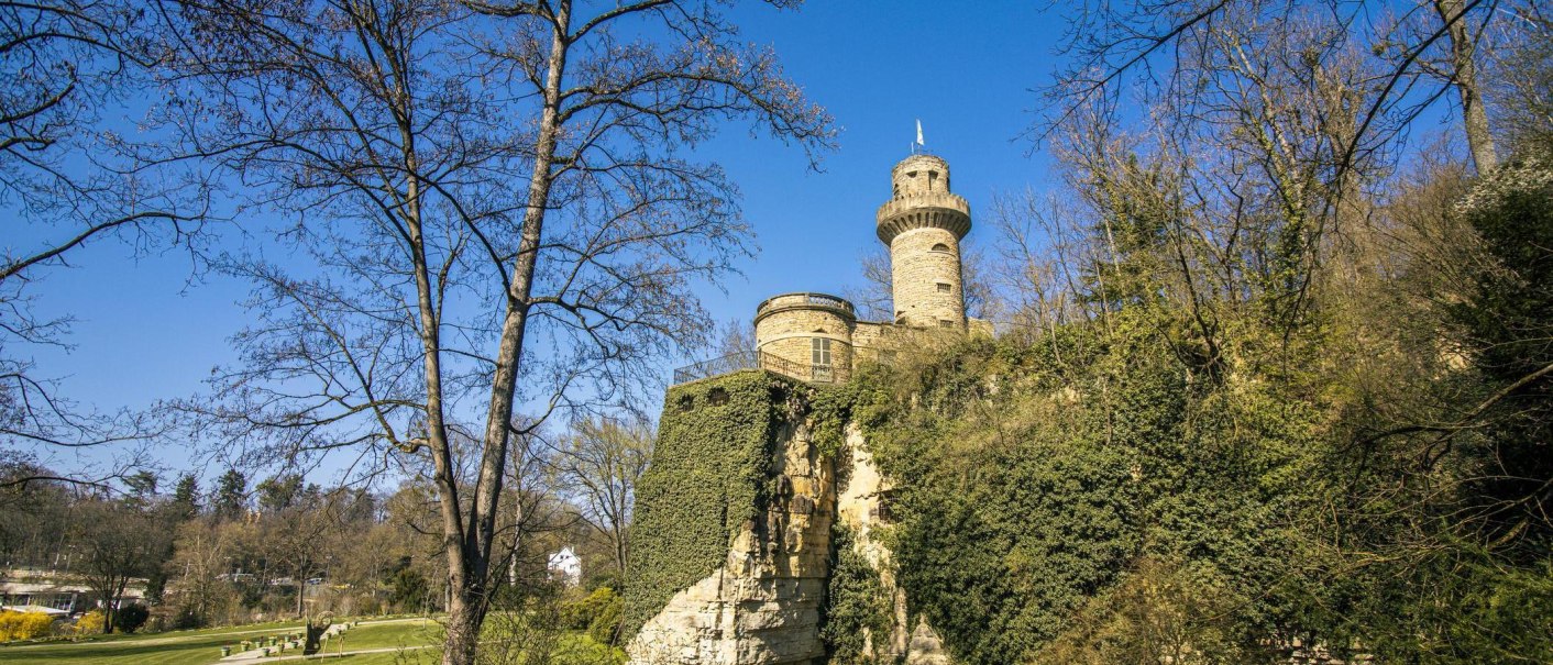 Ein malerischer Turm im Blühenden Barock Ludwigsburg, umgeben von Bäumen und strahlend blauem Himmel., © SMG, Sarah Schmid Ein malerischer Turm im Blühenden Barock Ludwigsburg, umgeben von Bäumen und strahlend blauem Himmel., © SMG, Sarah Schmid