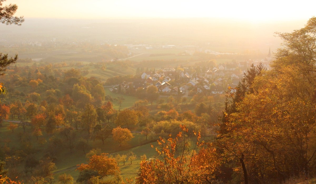 Herbstliche Landschaft mit bunten Bäumen und einem Dorf im Hintergrund, beleuchtet von einem warmen Sonnenuntergang., © Natur.Nah. Schönbuch & Heckengäu Herbstliche Landschaft mit bunten Bäumen und einem Dorf im Hintergrund, beleuchtet von einem warmen Sonnenuntergang., © Natur.Nah. Schönbuch & Heckengäu