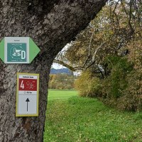 Wanderwegweiser an einem Baum, im Hintergrund grüne Hecken und Wiese, © Petra Natzkwoski Wanderwegweiser an einem Baum, im Hintergrund grüne Hecken und Wiese, © Petra Natzkwoski