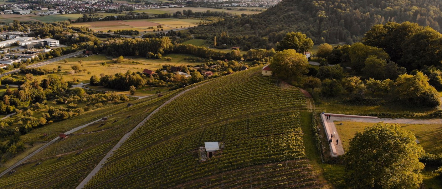 Luftaufnahme einer hügeligen Landschaft mit Weinbergen, Bäumen und einer Aussichtsplattform. Im Hintergrund sind Felder und Gebäude zu sehen., © Susi Maier