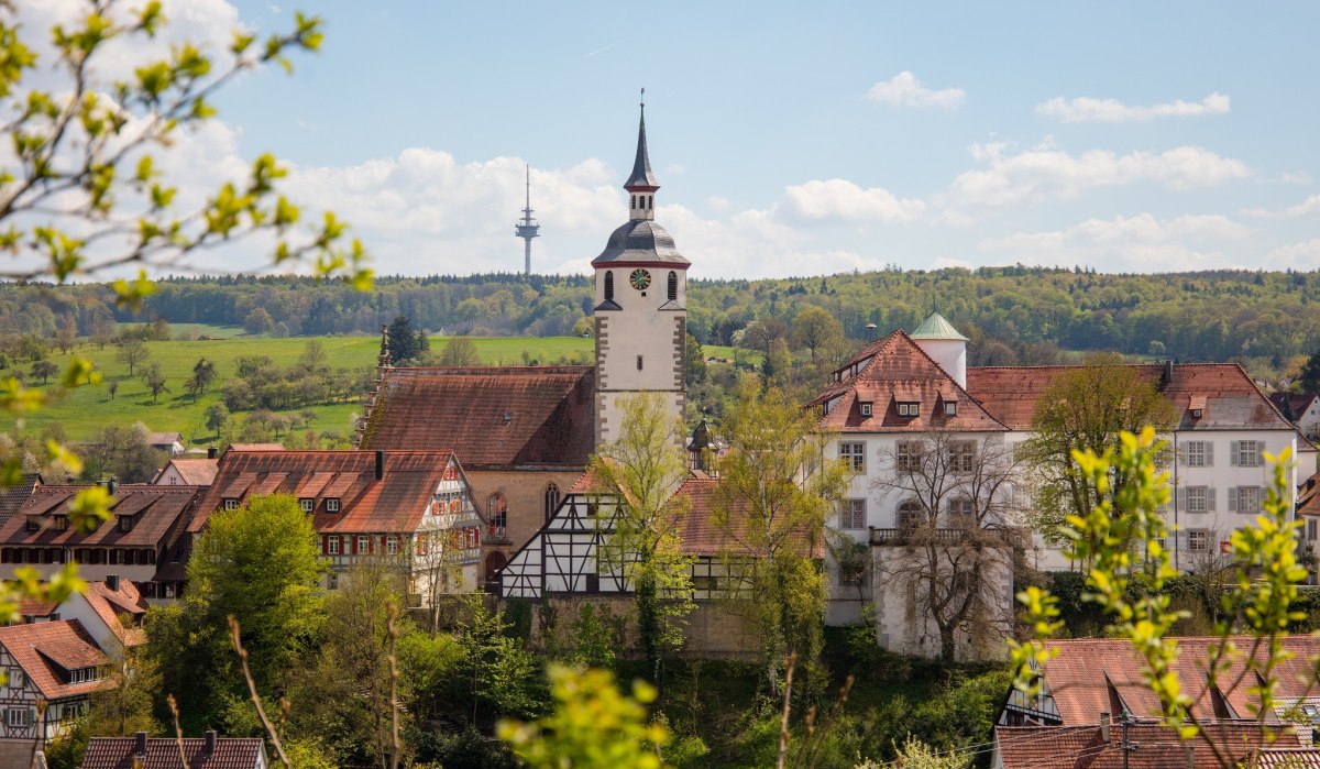 Waldenbuch mit Kirchturm und Fachwerkhäusern, umgeben von grüner Landschaft. Ein Sendeturm ist im Hintergrund sichtbar., © Stuttgart Marketing GmbH Waldenbuch mit Kirchturm und Fachwerkhäusern, umgeben von grüner Landschaft. Ein Sendeturm ist im Hintergrund sichtbar., © Stuttgart Marketing GmbH