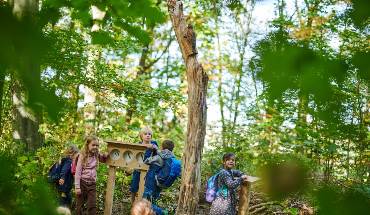 Kinder entdecken eine Station im Wald mit einem Holzschild und Baumstamm. Sie tragen Rucks&auml;cke und sind von gr&uuml;nen Bl&auml;ttern umgeben., &copy; Natur.Nah. Sch&ouml;nbuch & Heckeng&auml;u