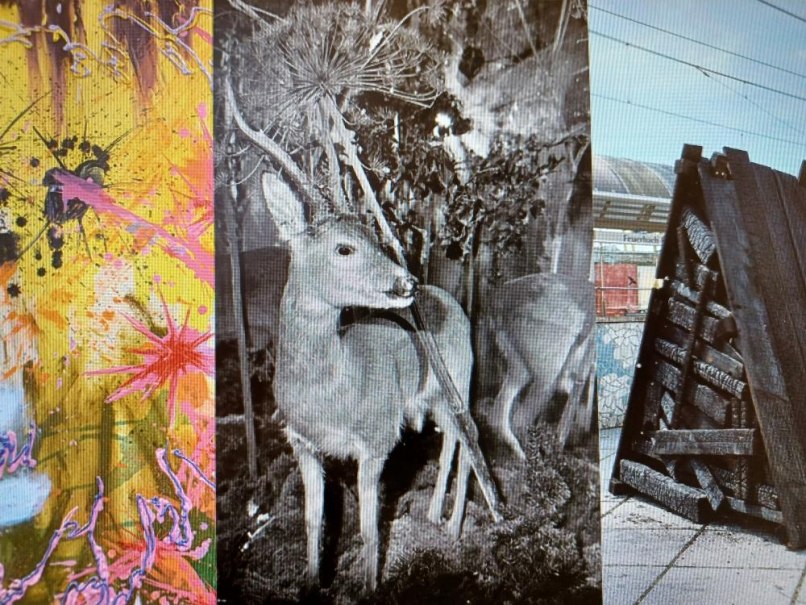 Eine Collage zeigt abstrakte Kunst, ein Schwarz-Wei&szlig;-Foto eines Rehs und eine Holzskulptur vor einem Geb&auml;ude., &copy; Hermann-Haake-Stiftung