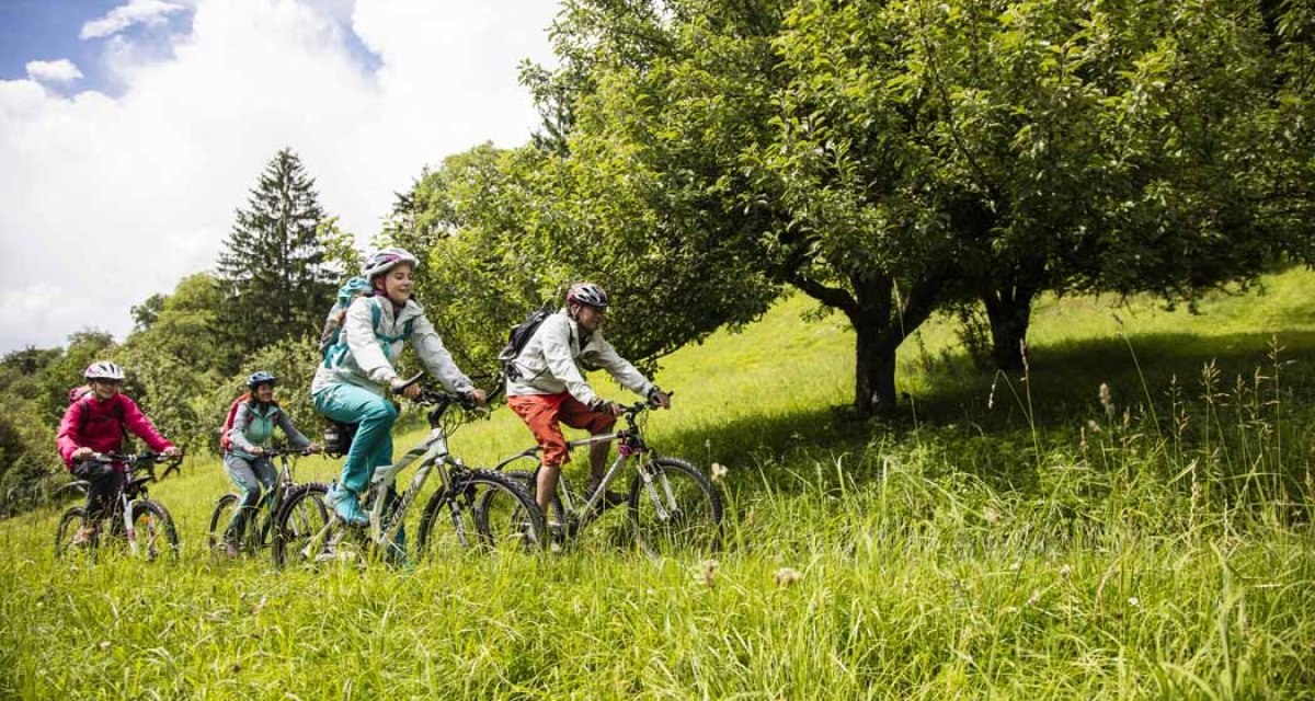 Vier Radfahrer fahren durch eine grüne Wiese, umgeben von Bäumen und blauem Himmel., © Schwäbische Alb Tourismusverband e.V. Vier Radfahrer fahren durch eine grüne Wiese, umgeben von Bäumen und blauem Himmel., © Schwäbische Alb Tourismusverband e.V.