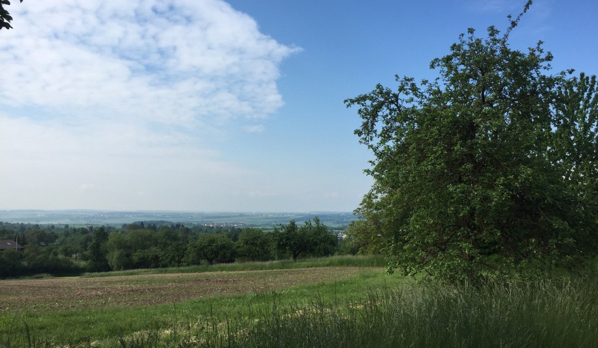 Grüne Wiese mit Bäumen im Vordergrund, weiter Blick über die Landschaft bis zum Horizont unter blauem Himmel mit Wolken., © www.pro-cycl.de Grüne Wiese mit Bäumen im Vordergrund, weiter Blick über die Landschaft bis zum Horizont unter blauem Himmel mit Wolken., © www.pro-cycl.de