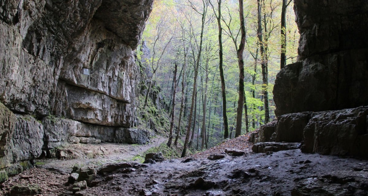 Blick aus der Höhle nach draußen, © Bad Urach Tourismus Blick aus der Höhle nach draußen, © Bad Urach Tourismus