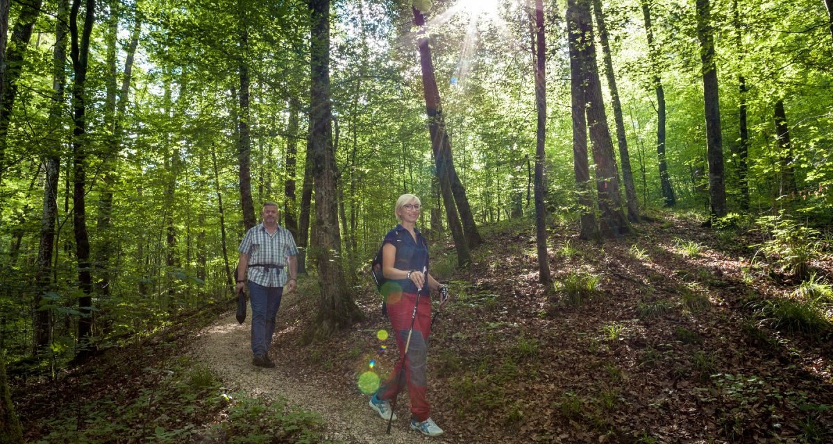 Zwei Personen wandern auf einem Waldweg. Die Sonne scheint durch die B&auml;ume und erzeugt Lichtstrahlen im gr&uuml;nen Laub., &copy; hochgehberge