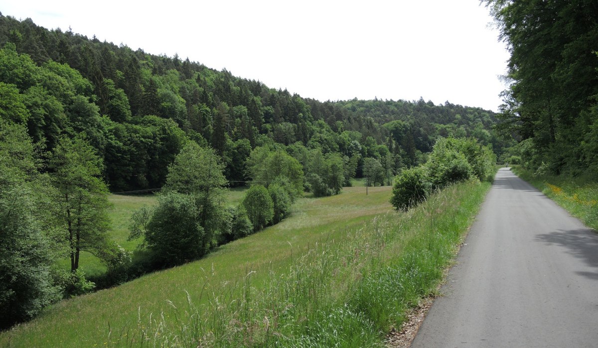 Eine asphaltierte Straße führt durch eine grüne Landschaft mit Wiesen und dichtem Wald im Hintergrund., © Natur.Nah. Schönbuch & Heckengäu Eine asphaltierte Straße führt durch eine grüne Landschaft mit Wiesen und dichtem Wald im Hintergrund., © Natur.Nah. Schönbuch & Heckengäu
