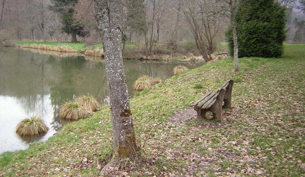 Holzbank am Ufer eines ruhigen Teichs, umgeben von Bäumen und Gras. Herbstlaub bedeckt den Boden., © Naturpark Schönbuch Holzbank am Ufer eines ruhigen Teichs, umgeben von Bäumen und Gras. Herbstlaub bedeckt den Boden., © Naturpark Schönbuch