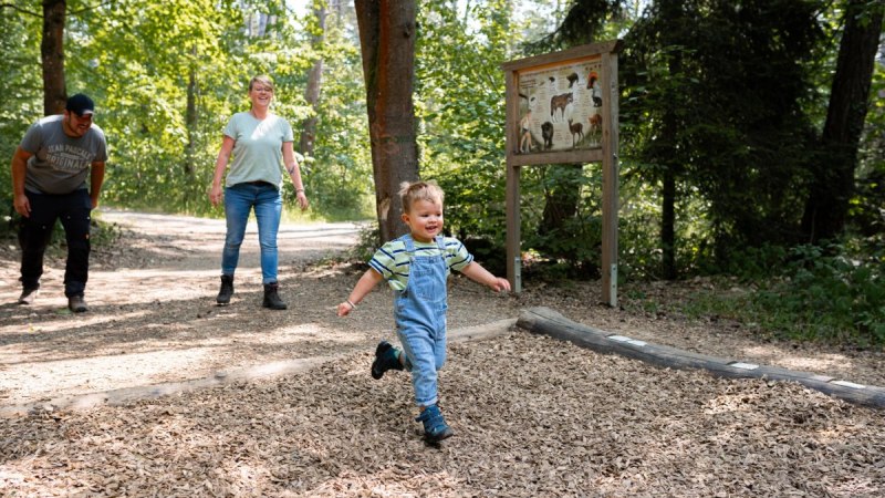 Ein Kind rennt lachend auf einem Waldweg, w&auml;hrend zwei Erwachsene ihm folgen. Im Hintergrund steht ein Informationsschild., &copy; Stadtmarketing Weil der Stadt