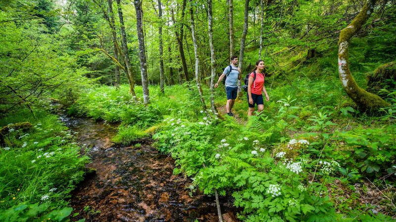 2. Globetrotter Wandertage Schwarzwald: Wanderung "Aichelberger Traumtour mit Fautsburg", © Touristik Bad Wildbad GmbH 2. Globetrotter Wandertage Schwarzwald: Wanderung "Aichelberger Traumtour mit Fautsburg", © Touristik Bad Wildbad GmbH
